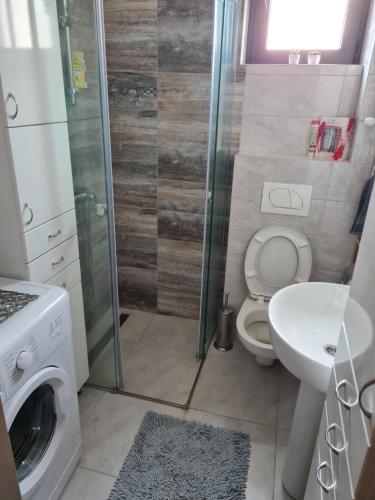 ein Bad mit einer Dusche, einem WC und einem Waschbecken in der Unterkunft Apartman Tina in Vrnjačka Banja