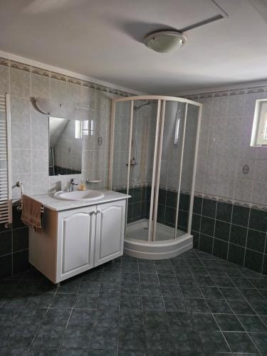 a bathroom with a shower and a sink and a tub at Fenyves Apartman in Tiszafüred