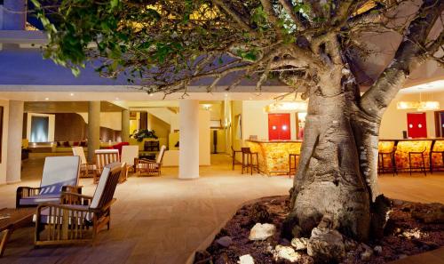 a tree in the middle of a lobby with chairs at Essque Zalu Zanzibar in Nungwi