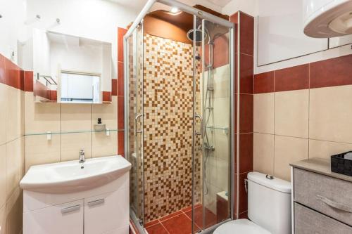 a bathroom with a shower and a toilet and a sink at Lovely Studio with a big terrace in Belgrade