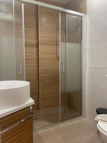 bagno con doccia, lavandino e servizi igienici di EL RINCON DEL CONDE a Siviglia