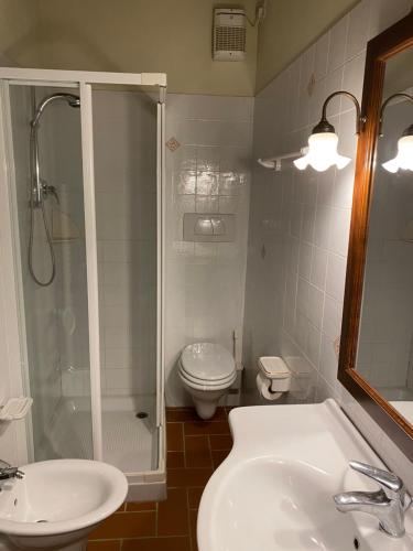a bathroom with a shower and a sink and a toilet at Coliberto in Massa Marittima