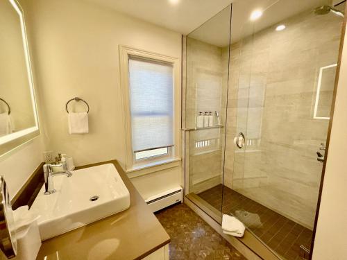 een badkamer met een wastafel en een douche bij Box Canyon View in Telluride