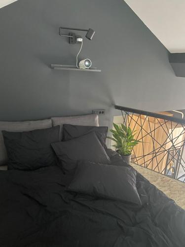 Remote working heaven in Zagreb, high speed Wi-Fi