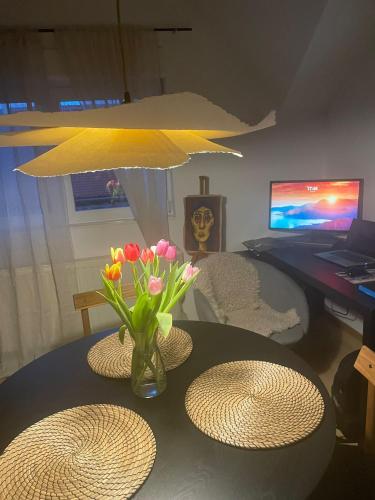 Remote working heaven in Zagreb, high speed Wi-Fi