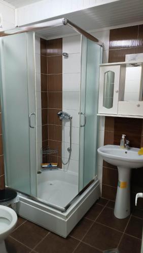 a bathroom with a glass shower and a sink at Villa & Apartments Petkoski in Ohrid