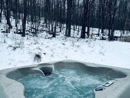 Livingston ManorCozy Cottage with Jacuzzi and Fire Pit and Reading Nook!的雪覆盖的森林中的热水浴池