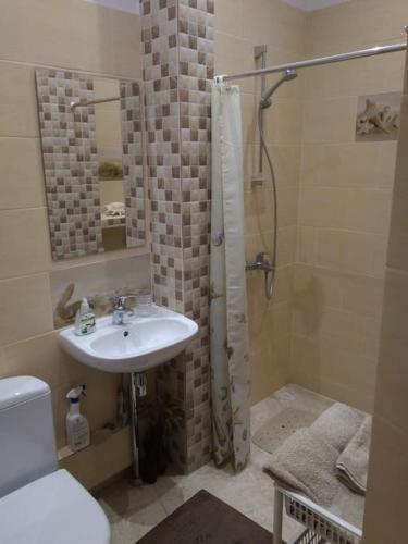 a bathroom with a shower and a sink and a toilet at 550 метров до моря in Liepāja