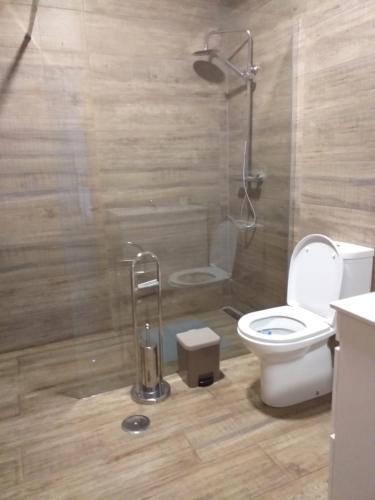 a bathroom with a toilet and a shower stall at Retiro da Quinta do Souto in Peso da Régua