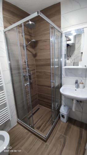 a bathroom with a shower and a sink at Apartman Danica in Pale
