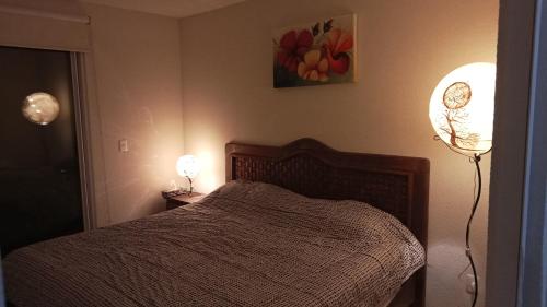 1 dormitorio con 1 cama, 1 lámpara y 1 pintura en Confortable casa de descanso para fin de semana, en Tlayecac