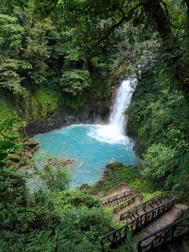 a river with a waterfall in the middle of a forest at Maricel House in San Rafael