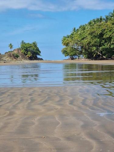 a beach with trees in the distance and water at Villa Amor del Mar with Breathtaking View of Ocean & Jungle in Dominical