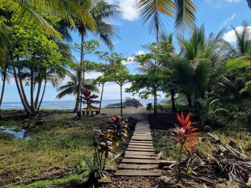 a stairway leading to a beach with palm trees at Villa Amor del Mar with Breathtaking View of Ocean & Jungle in Dominical