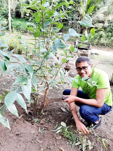 a man squatting next to a small tree at Victoria Views Resort Kandy in Digana