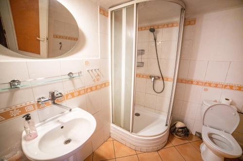 y baño con ducha, lavabo y aseo. en Vinný Sklep U Terezy a Jakuba, en Moravská Nová Ves