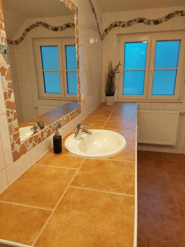 ein Bad mit einem Waschbecken und einem Spiegel in der Unterkunft Ferienwohnung Werner Pucher OG in Altaussee