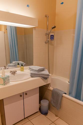 une salle de bain avec un lavabo et une baignoire dans l'établissement Parc Blandan - T2 calme lumineux et bien situé., à Lyon