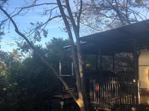a tree house with a staircase next to a tree at Fairhills Self Catering Caravan Units in Margate