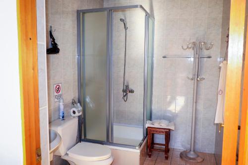 a bathroom with a shower and a toilet at Salom Inn in Bukhara