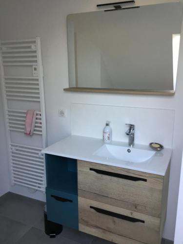 a bathroom with a sink and a mirror at La Malvrais in Janzé
