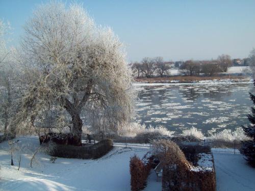 a tree covered in snow next to a body of water at Pension Villa Else in Heidenau