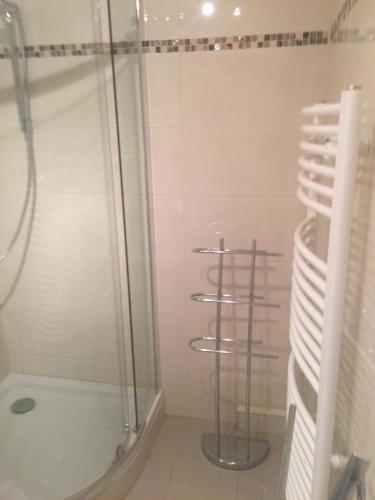 a bathroom with a shower and a glass showeroser at Pension Villa Else in Heidenau