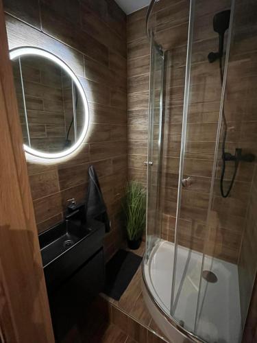 a bathroom with a shower and a sink and a tub at Ubytování Tajemství Lucy in Skvrňany