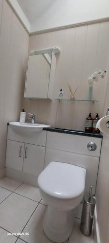 a white bathroom with a toilet and a sink at Fairdene Cottage in Ballater