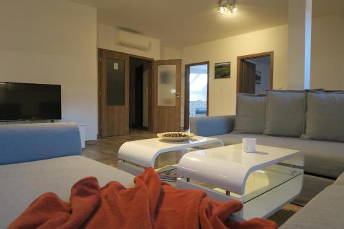 ein Wohnzimmer mit einem Sofa und einem TV in der Unterkunft Apartmán U Josefa in Sušice