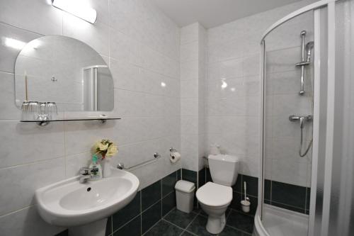 a bathroom with a sink and a toilet and a shower at Penzión Lesnica in Spišské Tomášovce