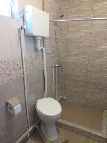 a bathroom with a toilet and a shower at Restuarant-Apartments T'ga za jug Lazaropole in Lazaropole