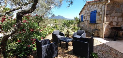 a group of chairs sitting in a garden at Casa Erbaggio in Sartène
