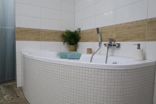 a bathroom with a tub with a plant in it at Apartmán U Josefa in Sušice