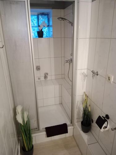 une salle de bain avec une douche avec une porte vitrée dans l'établissement Stadtnah an der Förde 65 U, à Flensbourg