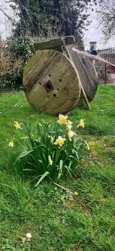 a bird house sitting in the grass next to flowers at lamaisonmelidine in Saint-Mards-de-Blacarville