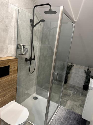 uma casa de banho com um chuveiro e um WC. em Apartament nad Jeziorem em Skorochow
