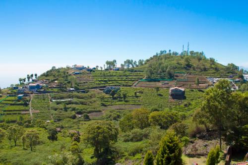 auliculiculiculiculiculiculiculiculiculiculiculiculiculiculic at The Royale Ridge in Kotagiri