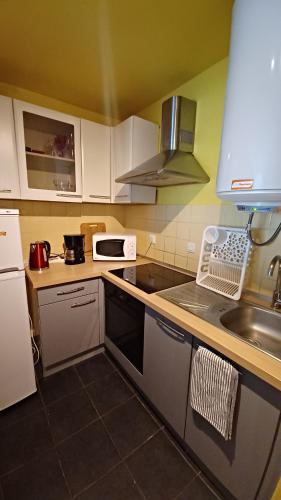 une cuisine avec un évier et un plan de travail dans l'établissement T2 Strasbourg - Le 