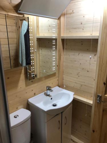 a bathroom with a sink and a toilet and a mirror at Cosy Garden Log Cabin in Salisbury