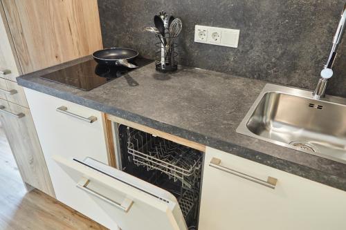 a kitchen counter with a sink and a dishwasher at VR-Serviced Apartments Gerstungen in Gerstungen