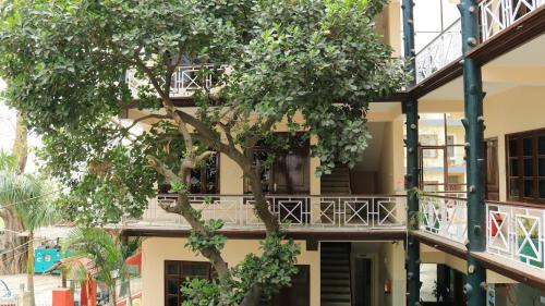 Gayatri Resort – Photos 2