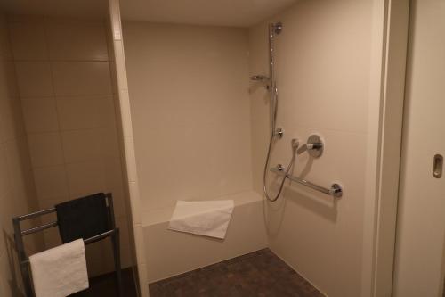 eine Duschkabine im Bad mit WC in der Unterkunft Ferienwohnung Am Pfaffenderbach in Ralingen