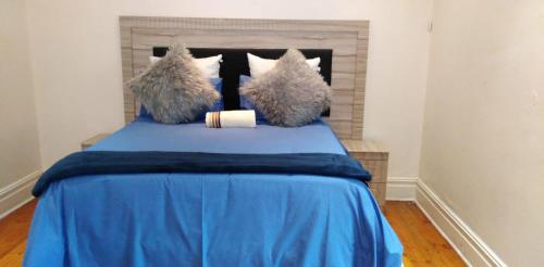 Un dormitorio con una cama azul con sábanas y almohadas azules en Fabulous guest house en Pietermaritzburg