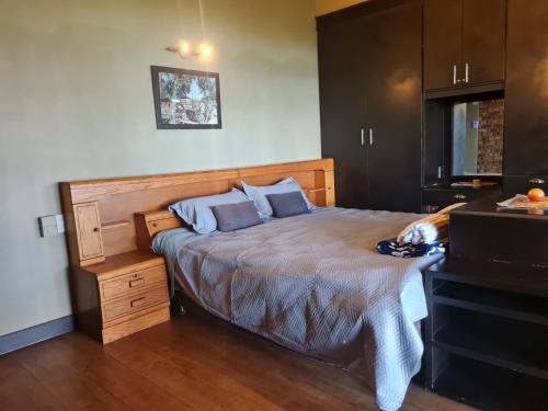Un dormitorio con una cama con un perro acostado en ella. en Mountain Rest, en Waterfall