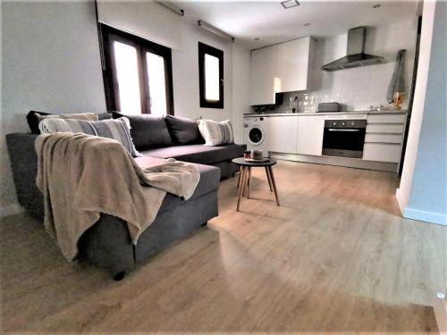 ein Wohnzimmer mit einem Sofa und einer Küche in der Unterkunft Apartamento Ilarcuris con patio privado in Toledo