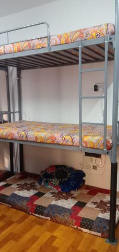 two bunk beds in a room with a rug at sharing room with other guests in Sharjah