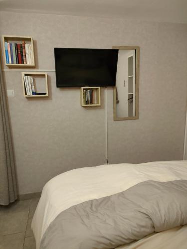 une chambre avec un lit avec une télévision à écran plat au mur dans l'établissement jujuouragan, à Saint-Dié-des-Vosges