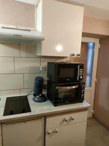 La cuisine est équipée d'un four micro-ondes et d'un grille-pain. dans l'établissement jujuouragan, à Saint-Dié-des-Vosges