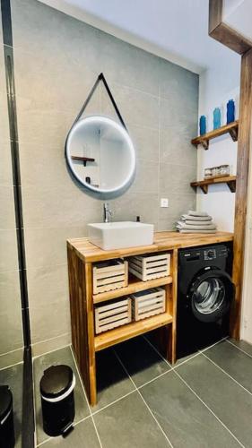 une salle de bain avec un lavabo et un miroir et une machine à laver dans l'établissement Studio le homard bleu, à Camaret-sur-Mer
